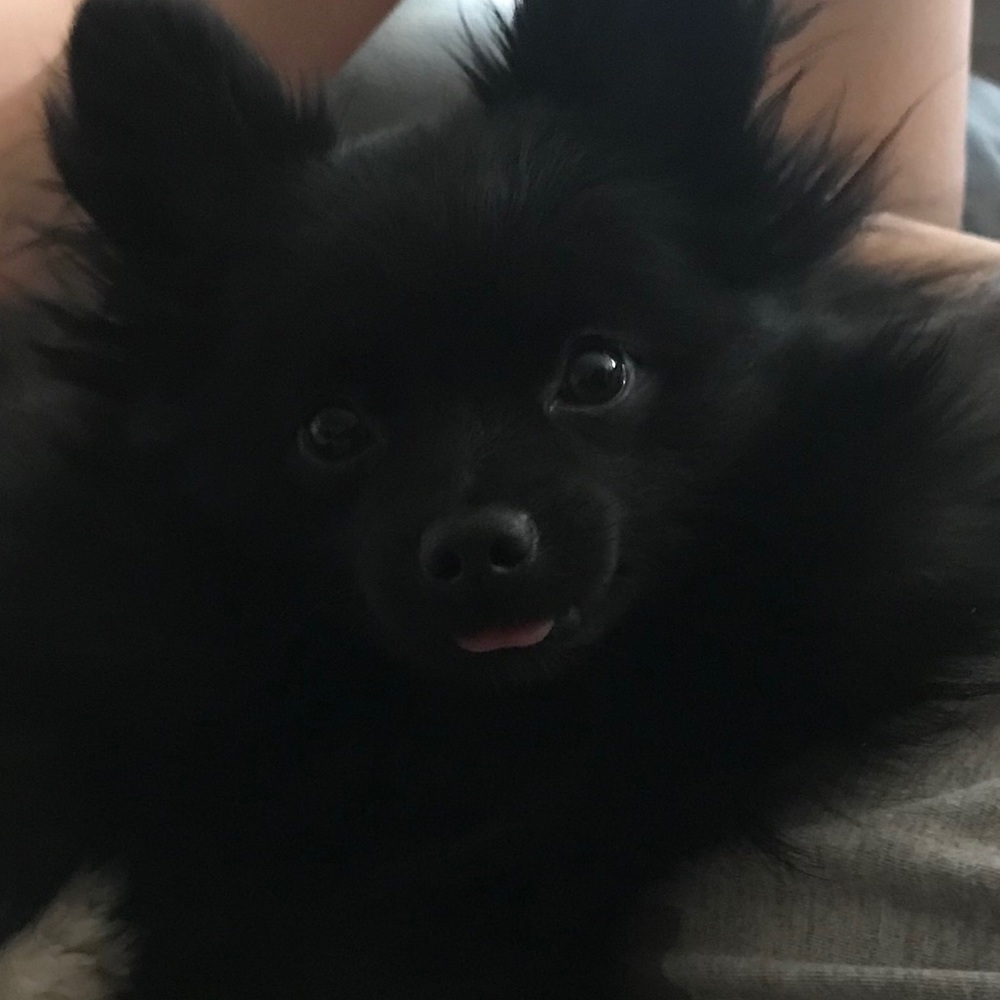 Meet your Posher, Tricia